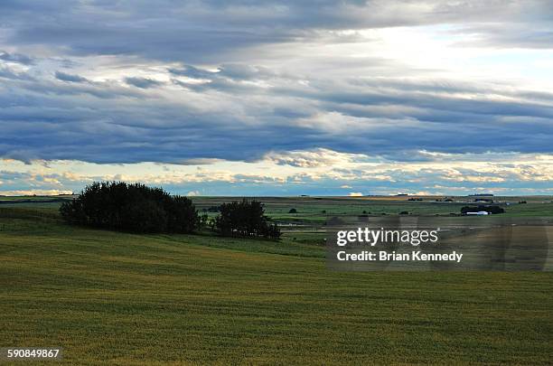 rural view - alberta farm scene stockfoto's en -beelden