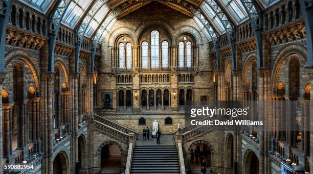 the central hall of the natural history museum in south kensington, london, a world famous museum exhibiting a vast range of specimens covering botany, entomology, minerology, palaeontology and zoology. - natural history museum london fotografías e imágenes de stock