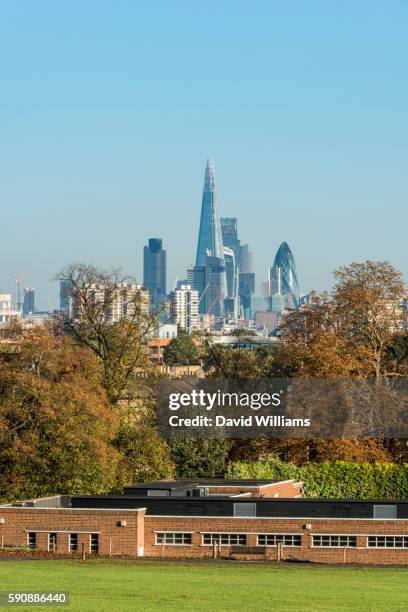 views across brockwell park, herne hill to south london and the financial district of the city of lo - herne hill imagens e fotografias de stock