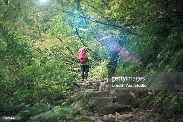 woman hiking up mountain /japan mt.hakusan - hakusan stock pictures, royalty-free photos & images