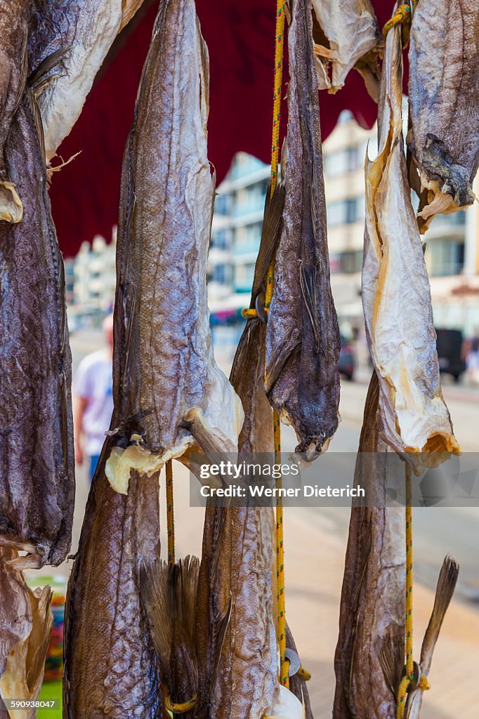 Speciality dried whiting fish in Ostend
