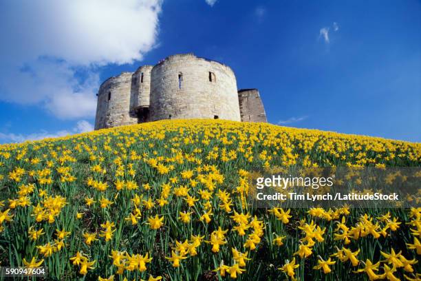 york castle - york castle stock pictures, royalty-free photos & images