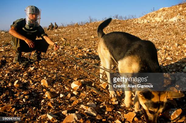 landmines in lebanon - minesweeper stock pictures, royalty-free photos & images