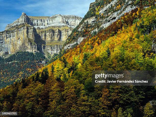 autumn. ordesa national park - provinz huesca stock-fotos und bilder