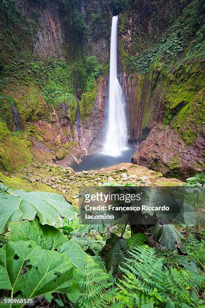 catarata del toro, costa rica - costa rica waterfall stock pictures, royalty-free photos & images