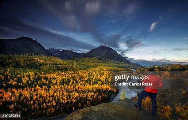 king mountain - chugach mountains stock-fotos und bilder