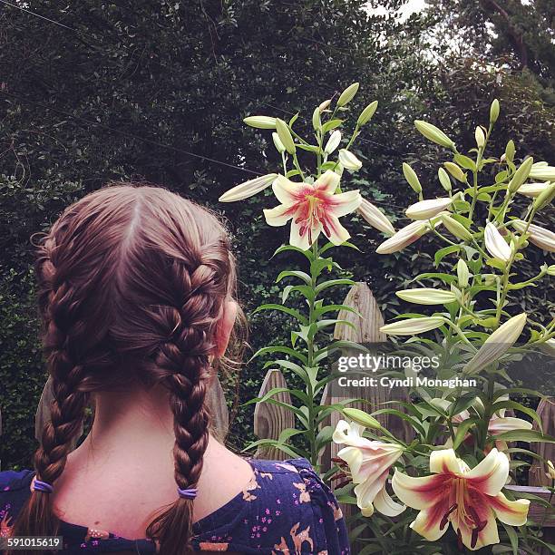 girl with braids - lily platt stock pictures, royalty-free photos & images