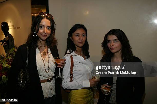 Liz Ferrari, Dia Gutierrez and Adriana Caviedes attend Tiffany Dubin, Nina Griscom, and Allison Sarofim host a party for designer Andrew Gn for the...