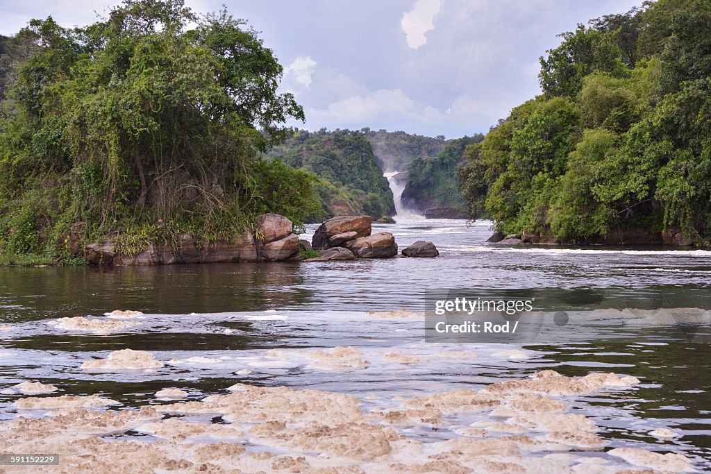 Downstream of Murchison Falls
