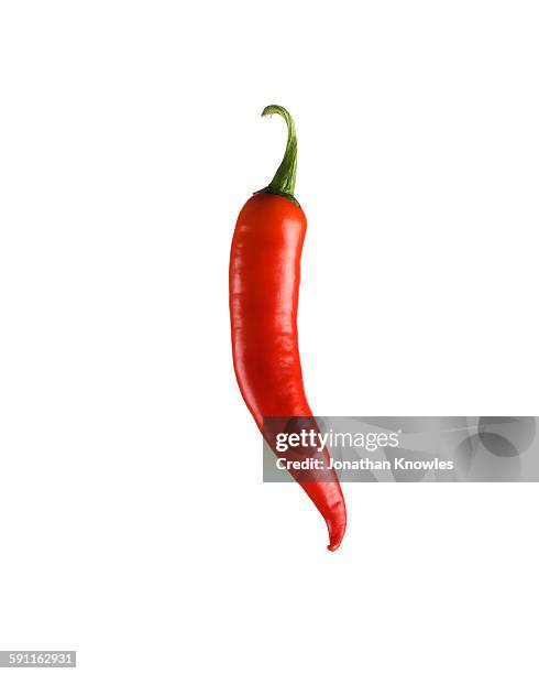 red chilli pepper - peperoncino foto e immagini stock