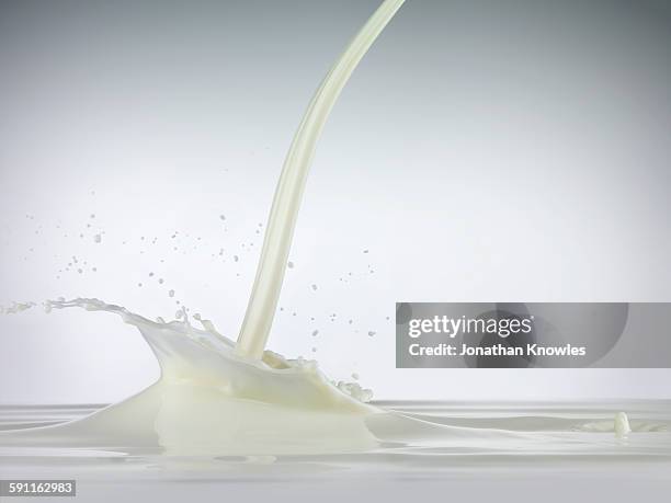 milk pour with splash - milk pour white background bildbanksfoton och bilder