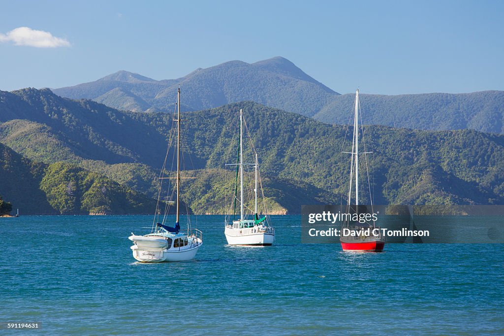 Picton Harbour and Queen Charlotte Sound, Picton