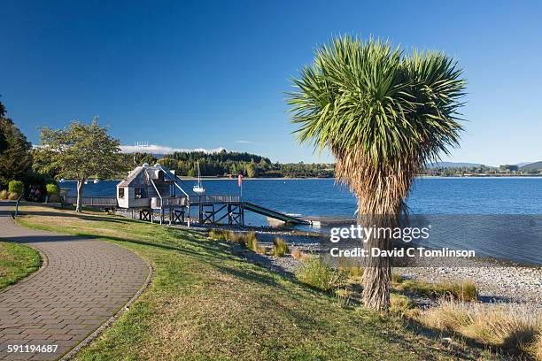view along the lakefront, te anau - te anau stock pictures, royalty-free photos & images