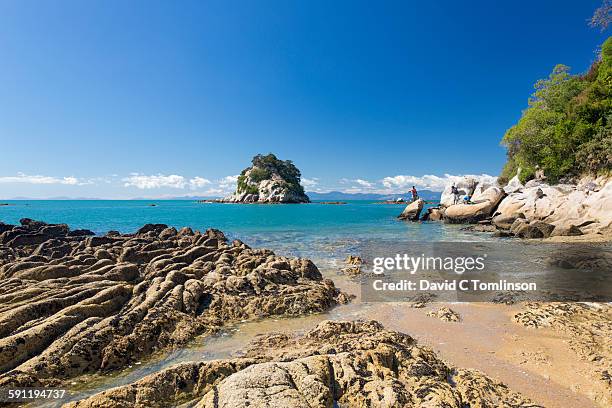 men fishing from rocky coastline, kaiteriteri - kaiteriteri stock-fotos und bilder