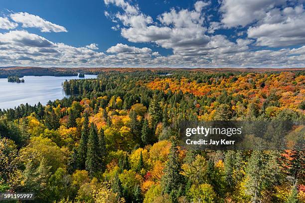 cache lake vista - ontario canada landscape stock pictures, royalty-free photos & images