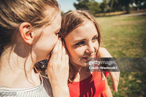 two teenage girls whispering in park - flüstern stock-fotos und bilder