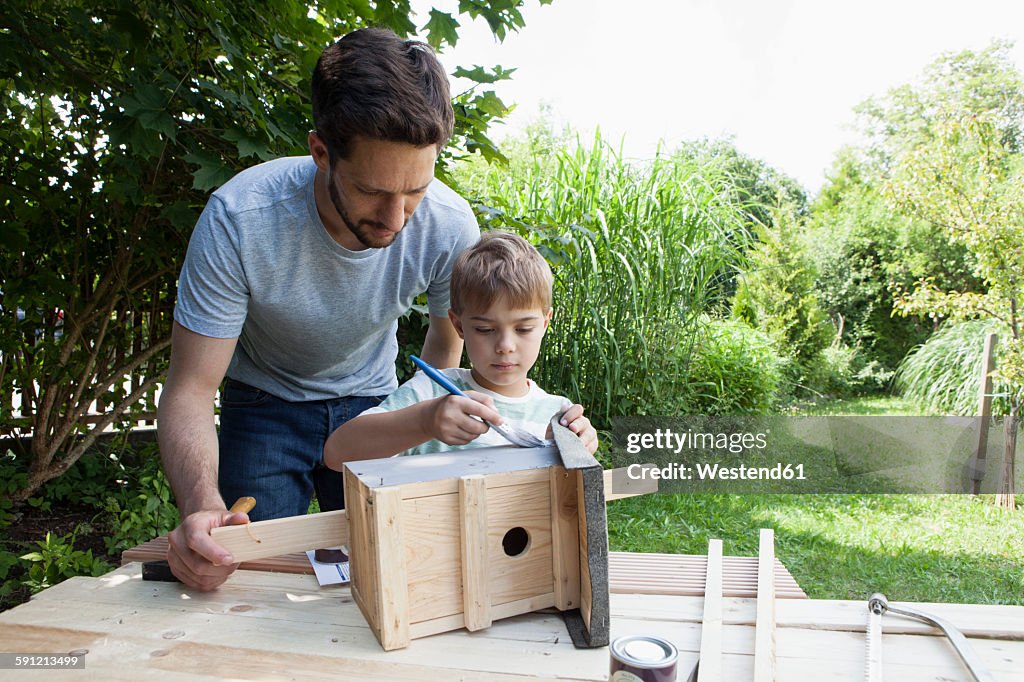 Father and son building up a birdhouse