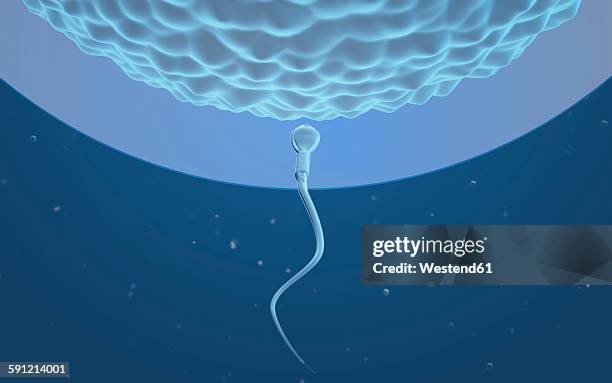 insemination - male likeness stock illustrations