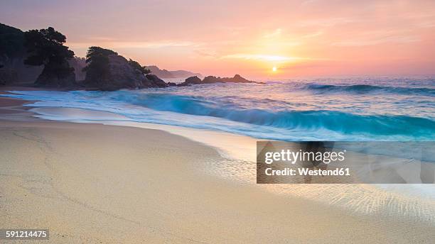 spain, catalonia, blanes, costa brava at sunset - province de gérone photos et images de collection