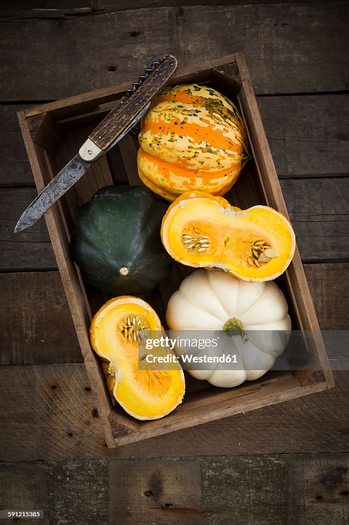 Wooden box of different sorts of mini squashes on wood