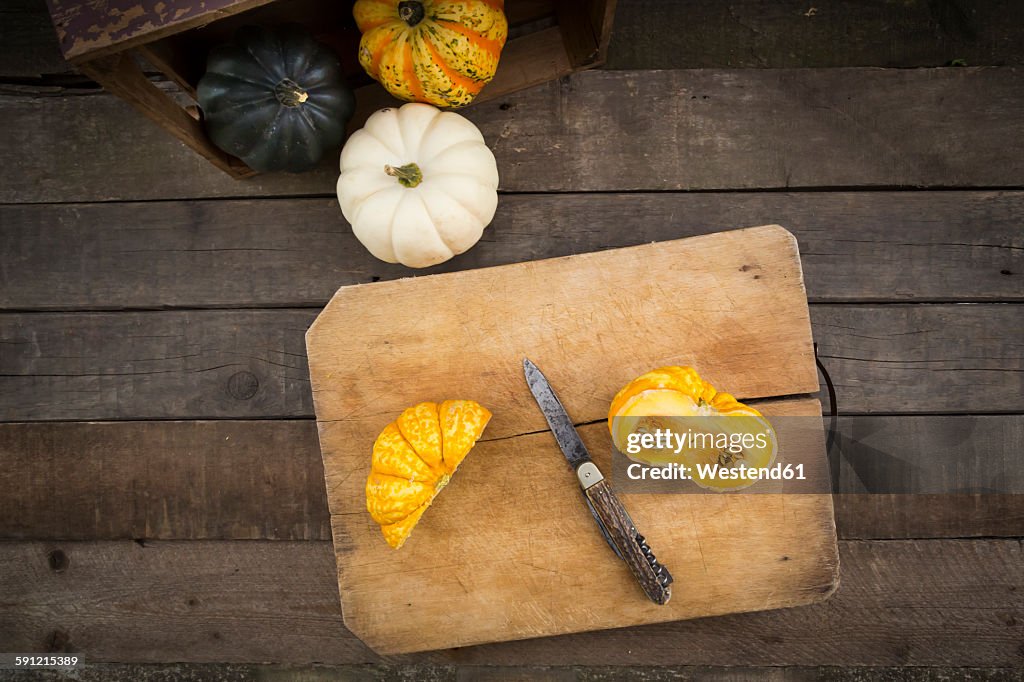 Different sorts of mini squashes