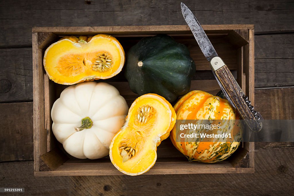 Wooden box of different sorts of mini squashes on wood