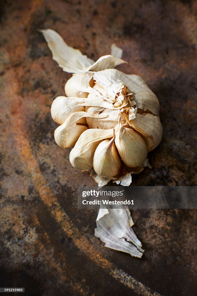 Garlic bulb