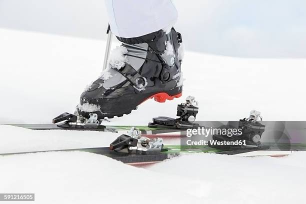 woman putting on skis, close up - skischoen stockfoto's en -beelden