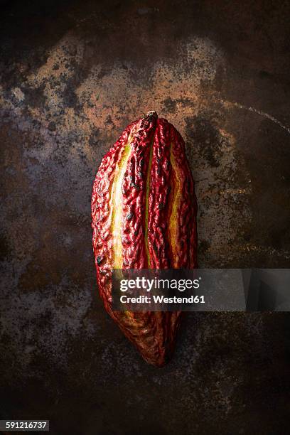 cocoa pod on rusty ground - cacao pod stockfoto's en -beelden