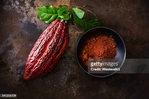 cocoa pod and bowl of cocoa on rusty ground - cacao pod stockfoto's en -beelden