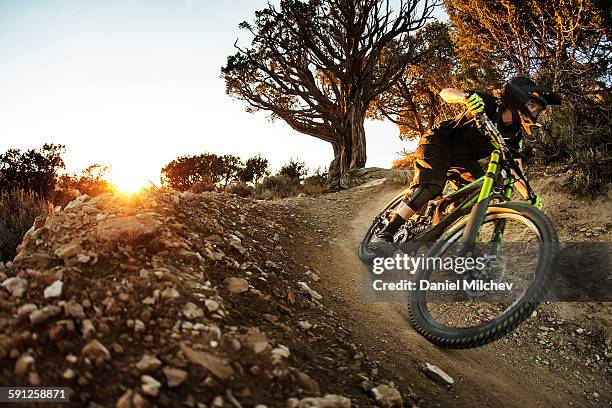 female bike racer going fast at sunset. - mountain bike fotografías e imágenes de stock