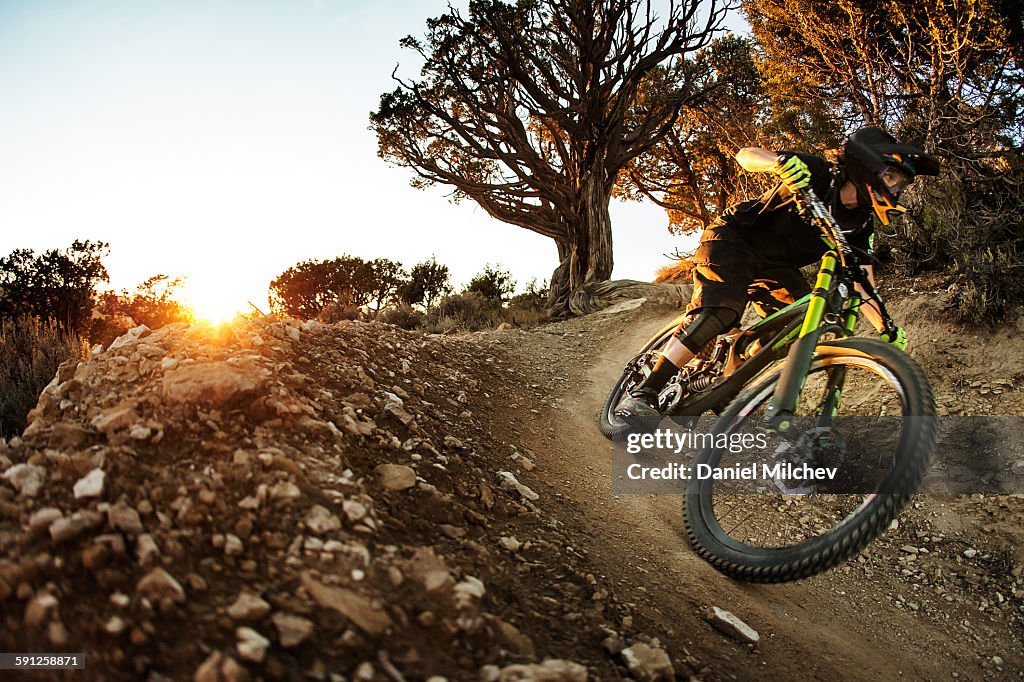 Female bike racer going fast at sunset.