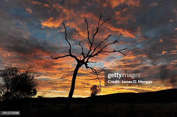 Sunset over Bungle Bungles in Purnululu National Park on August 11th, 2016 in Western Australia.