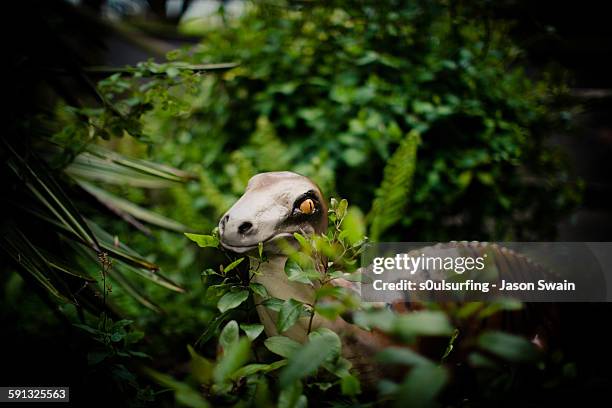 isle of wight dinosaur - freshwater bay isle of wight stock pictures, royalty-free photos & images