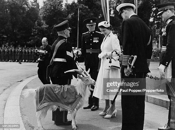 Queen Elizabeth II and Prince Philip, Duke of Edinburgh meet 'Taffy', the goat mascot of the Royal Welsh Regiment during the Coronation visit to...