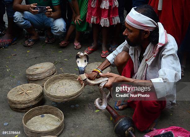 An Indian snake charmer playing with snake 'gokhras' cobras during at the snake fair in Chakdah, 80 kilometers from Kolkata , India on Wednesday ,...