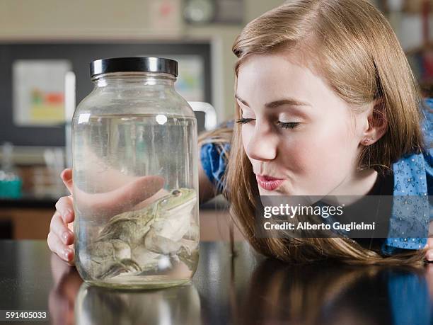 student examining frog in jar in classroom - froschkönig stock-fotos und bilder