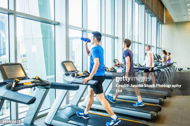 people working out on treadmills in gymnasium - laufband stock-fotos und bilder