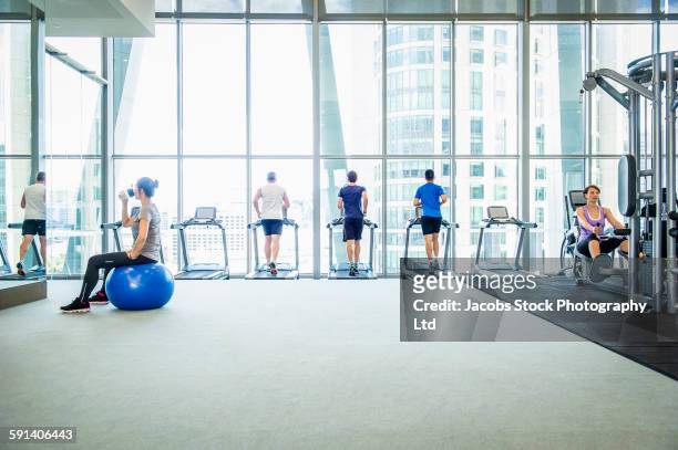 people working out on treadmills in gymnasium - trainingsraum stock-fotos und bilder