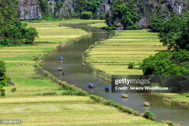 aerial view of boats floating on ngo dong river, ninh binh, ninh binh, vietnam - middelgrote groep dingen stockfoto's en -beelden