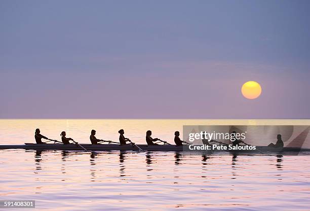 silhouette of rowing team practicing on still lake - rowing foto e immagini stock