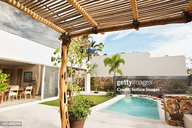 swimming pool and canopy in backyard - pergola 個照片及圖片檔