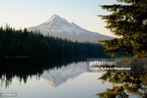 mount hood reflecting in lost lake, hood river, oregon, united states - lost river film stock-fotos und bilder