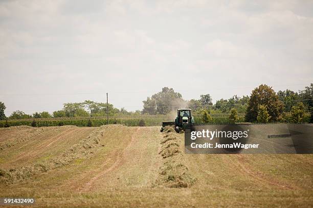 john deere harvesting - timothy grass pollen stock pictures, royalty-free photos & images