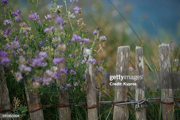 europe, france, brittany, st briac, view of wooden fence - cordon boundry stock pictures, royalty-free photos & images