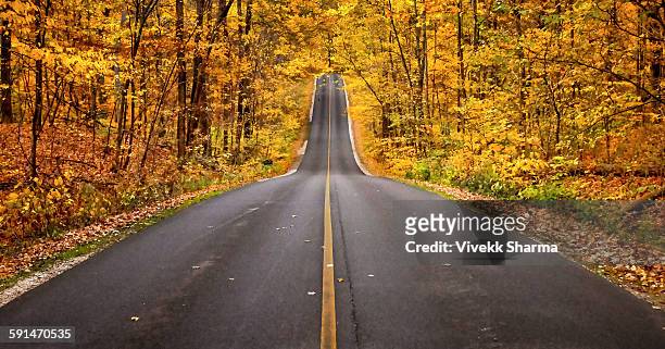 a last autumn walk - columbus ohio stockfoto's en -beelden