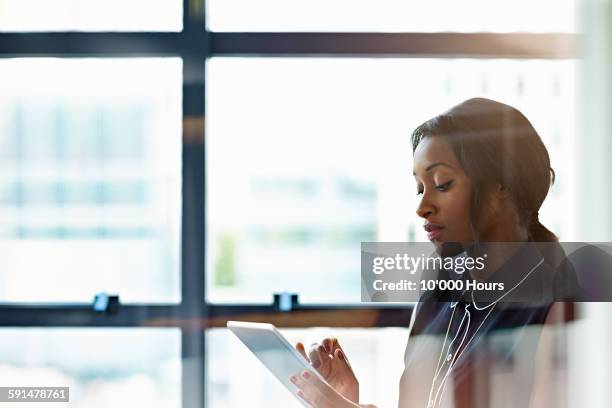 businesswoman using a digital tablet in office - business frau mit ipad stock-fotos und bilder