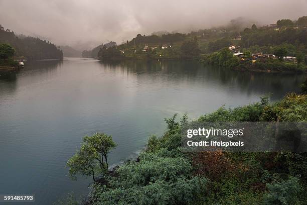 the peneda-gerês national park - lifeispixels stock pictures, royalty-free photos & images