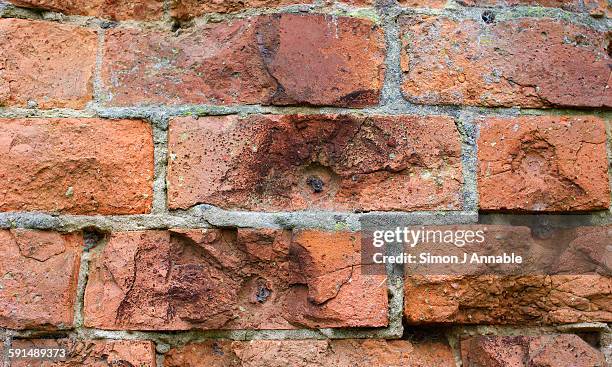 Bullet Ridden Pattern 263 Bullet Scar Stock Photos, High-Res Pictures, and Images - Getty Images