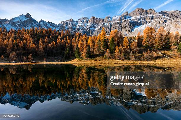 lac miroir - miroir stock pictures, royalty-free photos & images